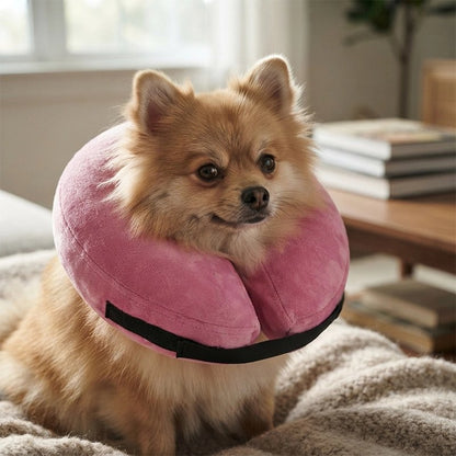 Collerette Chien convient aux petits et moyens chiens grâce à son système d'attache modulable