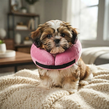 Collerette Chien revêtement en tissu doux et moelleux agréable au toucher pour apaiser l'animal pendant sa convalescence