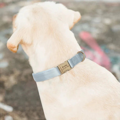 Collier, accessoire personnalisable et gravable pour chien . - WOOF TOUT