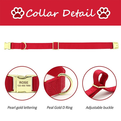 Collier, accessoire personnalisable et gravable pour chien . - WOOF TOUT