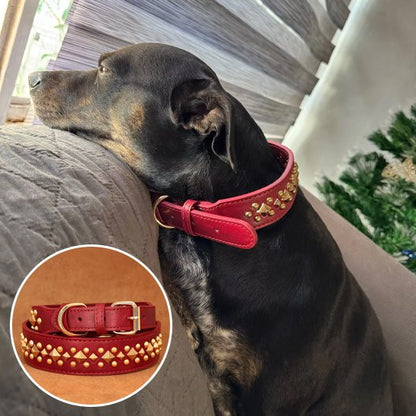 Collier chien Boucle ardillon métallique ajustable maintien sécurisé