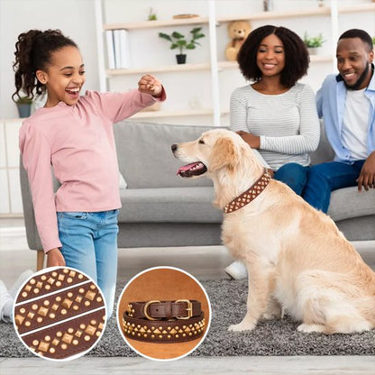 Collier chien confortable résistant