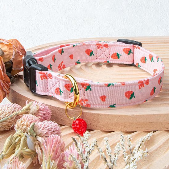 Collier chien Largeur adaptée évitant irritations et frottements sur le cou
