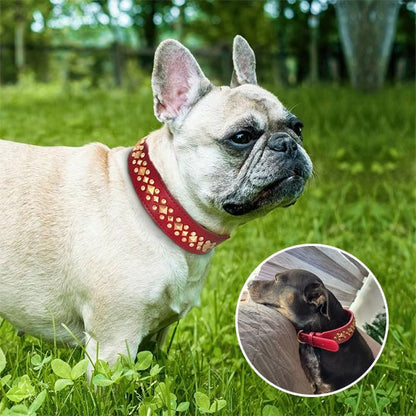 Collier chien Marron naturel, rouge vif et noir 