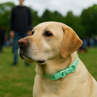 Collier chien Matière imperméable facilitant l'entretien et adaptée aux activités extérieures