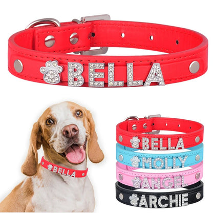 Collier de nylon personnalisée avec le nom de votre animal de compagnie - WOOF TOUT
