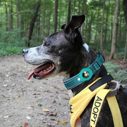 Collier GPS chien Coutures renforcées: garantissent une solidité accrue et une longue durée