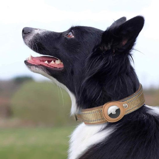 Collier GPS chien Intégration d'un tracker Apple AirTag: logement dédié sur le collier pour un suivi en temps réel de votre animal
