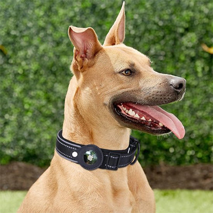 Collier GPS chien Matériaux résistants et durables: conçu pour résister 
