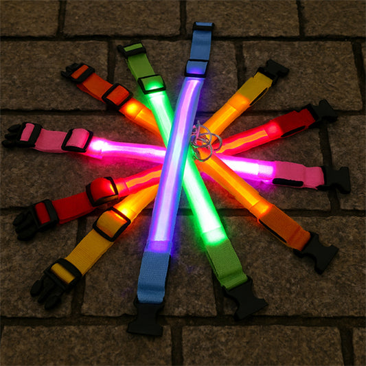 Collier lumineux pour chien | VisioNight