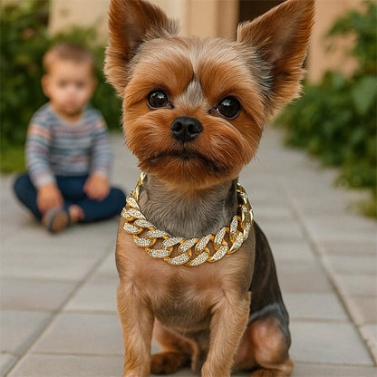 Collier pour chien Convient à différentes races depuis les petits gabarits jusqu'aux chiens de taille moyenne à grande