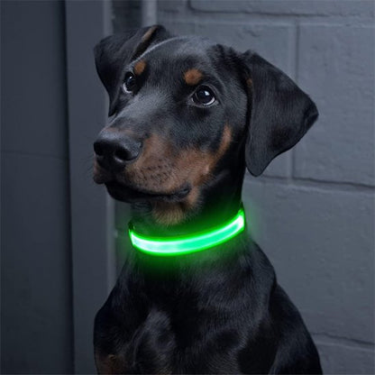 Colliers lumineux pour Chiens N'entrave pas les mouvements naturels de votre compagnon