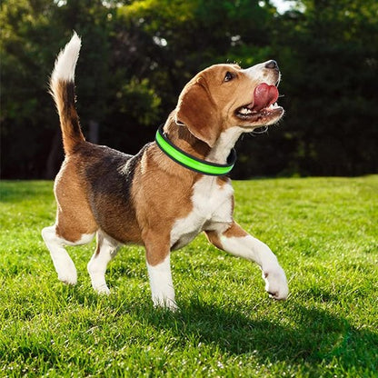 Colliers lumineux pour Chiens Permet d'alterner entre lumière fixe et clignotante selon vos besoins