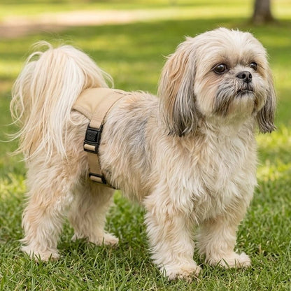 Culotte chien  Format compact et matériaux lavables pour une hygiène irréprochable