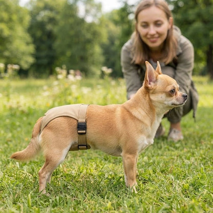 Culotte chien Système de fixation fiable évitant les glissements durant les déplacements du chien