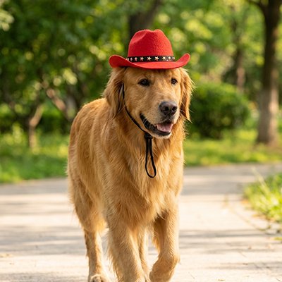 Déguisement Chien rouge vif et noir pour s'adapter aux préférences de chaque animal