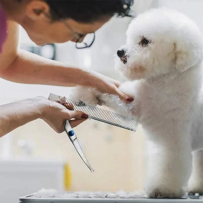 Des ciseaux professionnels coupe super bien pour animal de compagnie. - WOOF TOUT
