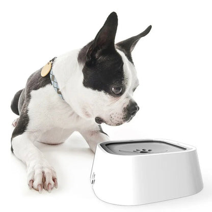 Distributeur d`eau portable pour chien sans déversement fais de plastique. - WOOF TOUT