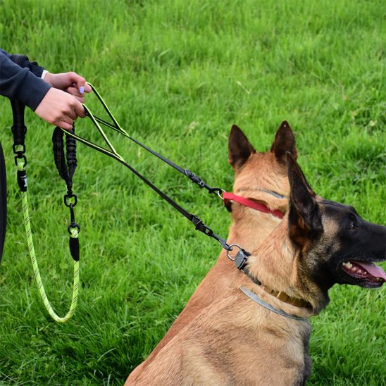 Double laisse pour chien Conception anti-traction répartit équitablement la force pour un meilleur contrôle des deux chiens
