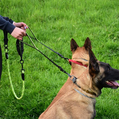 Double laisse pour chien Conception anti-traction répartit équitablement la force pour un meilleur contrôle des deux chiens