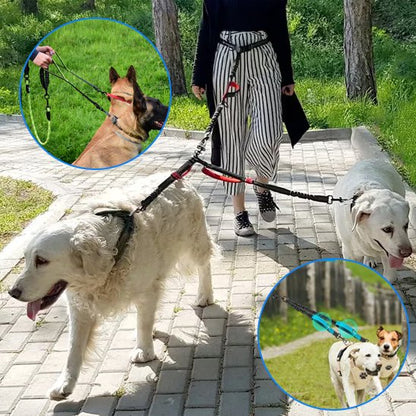 Double laisse pour chien Longueur ajustable s'adapte à différentes tailles de chiens et situations de promenade