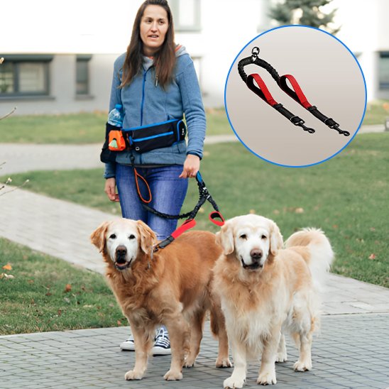 Double laisse pour chien Matériaux résistants à l'usure: garantit une durabilité dans le temps même avec des chiens énergiques