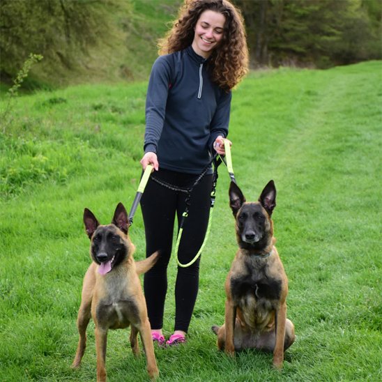 Double laisse pour chien Poignée ergonomique rembourrée offre un confort optimal lors des longues promenades 