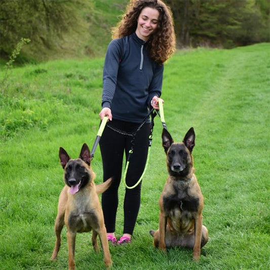 Double laisse pour chien Poignée ergonomique rembourrée offre un confort optimal lors des longues promenades 
