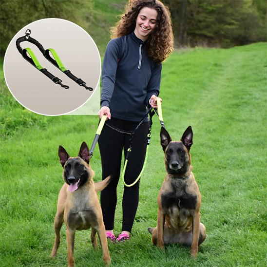Double laisse pour chien poigner séparer