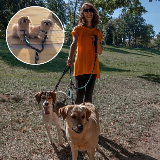 Double laisse pour chien se mêle pas