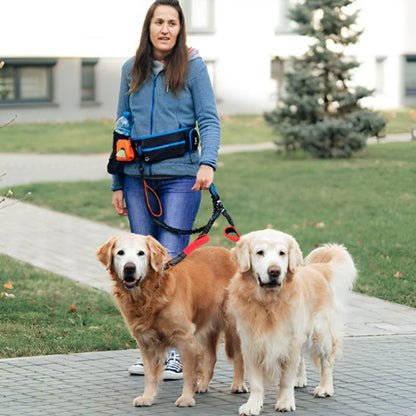Double laisse pour chien Système de séparation rapide: possibilité de détacher une laisse individuellement si nécessaire