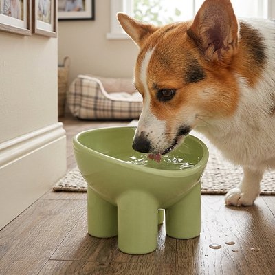 Gamelle Chien Matériau durable, hygiénique et facile à nettoyer, résistant aux rayures et aux bactéries