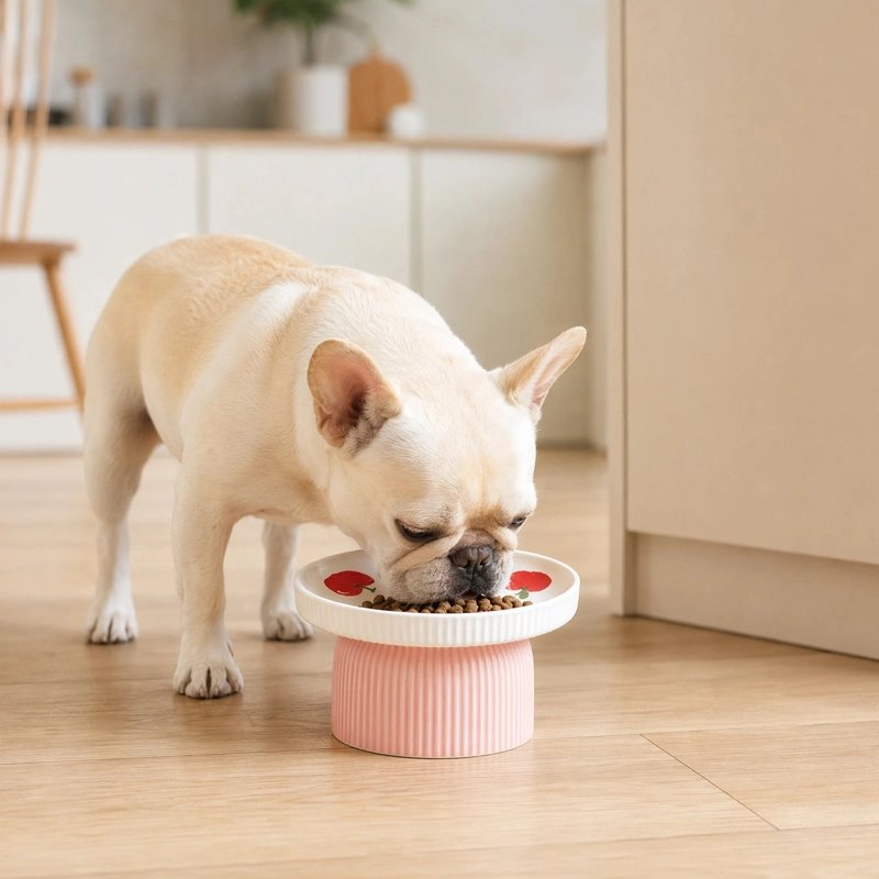 Gamelle chien surélevée convient aux petites, moyennes et grandes races