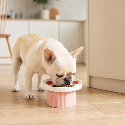 Gamelle chien surélevée convient aux petites, moyennes et grandes races