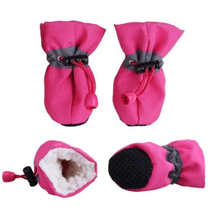 Garde les petites pattes au chaud des chiens du grand froid pendant la marche hivernal . - WOOF TOUT
