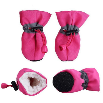 Garde les petites pattes au chaud des chiens du grand froid pendant la marche hivernal . - WOOF TOUT