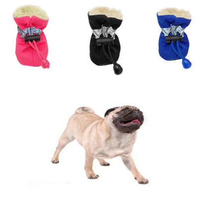Garde les petites pattes au chaud des chiens du grand froid pendant la marche hivernal . - WOOF TOUT