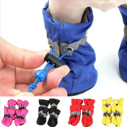 Garde vos petites pattes au chaud de votre animal de compagnie . - WOOF TOUT