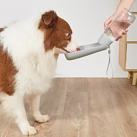 Gourde chien bonne grandeur de bouteille pour sorte de chien