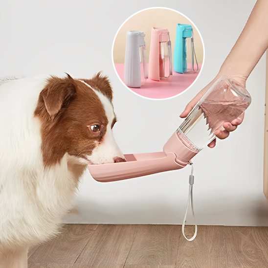 Gourde chien Disponible en plusieurs teintes les goûts