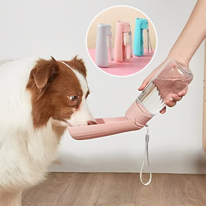Gourde chien Disponible en plusieurs teintes les goûts