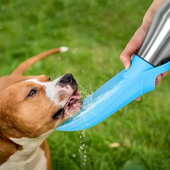 Gourde chien Facile à nettoyer et à remplir, maintient l'eau fraîche