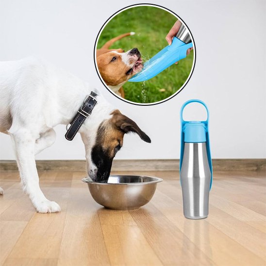 Gourde chien Fermeture sécurisée évitant les fuites pendant le transport