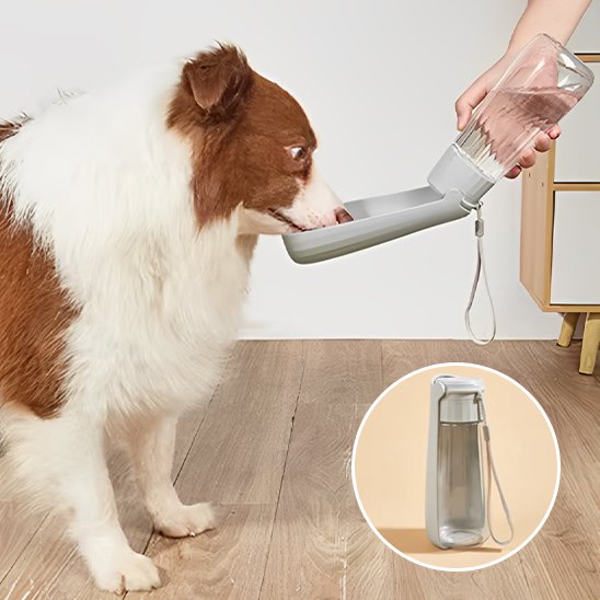 Gourde chien Format compact se glissant facilement dans un sac ou s'accrochant à la ceinture