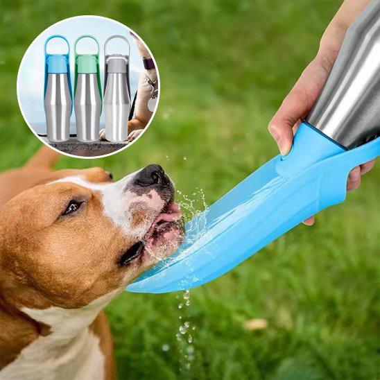 Gourde chien l`eau reste froide dans l` acier inoxydable