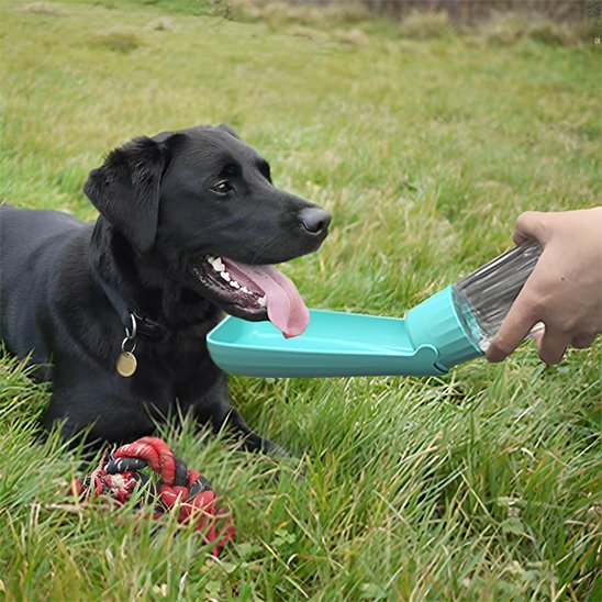 Gourde chien Mécanisme de verrouillage sécurisé empêchant les écoulements accidentels dans le sac