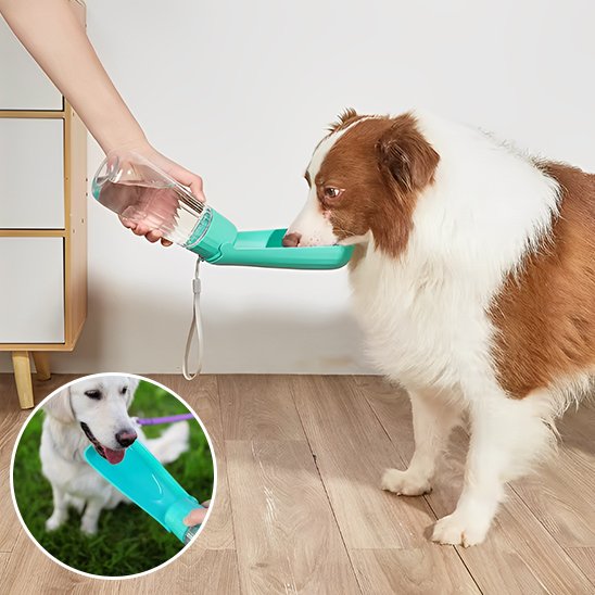 Gourde chien Pression sur bouton libérant l'eau directement gamelle intégrée