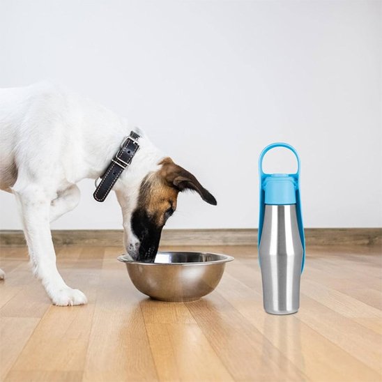 Gourde chien résistante et reste froide