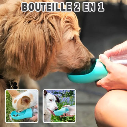 gourde pour chien Capacite-et-durablilié