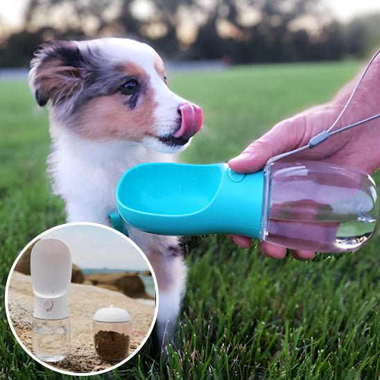 gourde pour chien Hydratation adéquate
